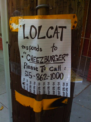 lolcat